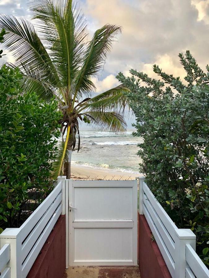 Appartement Au Bord De Mer Le Moule Kültér fotó